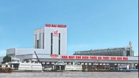 Lợi nhuận sau thuế của Sao Mai trong quý 3/2023 giảm hơn 70%