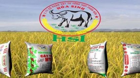 HSI: Chủ thương hiệu 'Phân bón Con Trâu' bị phạt vì chậm công bố báo cáo