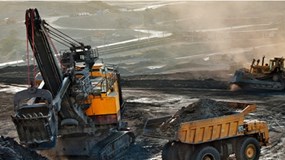 Lợi nhuận Coalimex giảm mạnh trong quý III/2025