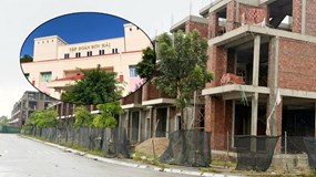 Sơn Hải lên tiếng sau kết luận thanh tra dự án 500 tỷ tại Quảng Trị