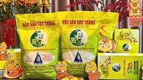 Gạo ST25 của Việt Nam tiếp tục được vinh danh “Gạo ngon nhất thế giới”