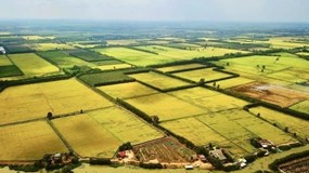 Kéo dài miễn thuế sử dụng đất nông nghiệp thêm 5 năm