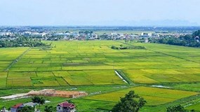 Thay đổi cách tính tiền sử dụng đất khi cấp sổ đỏ sai thẩm quyền