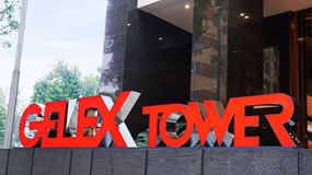 GELEX đặt mục tiêu doanh thu kỷ lục gần 38.000 tỷ, cổ tức 10%