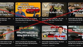 Phó Chủ tịch kiêm TGĐ Vingroup: "Đấu tranh tới cùng với tin giả vì trách nhiệm xã hội"