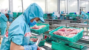 Doanh nghiệp thủy sản bứt phá sau giai đoạn trầm lắng