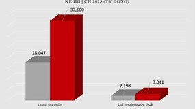 Hoạt động kinh doanh lõi lãi tăng gần 3 lần cùng kỳ, GELEX hoàn thành 72% kế hoạch năm