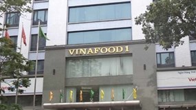 Vừa trúng thầu lớn ở Indonesia, Vinafood 1 đang làm ăn ra sao?