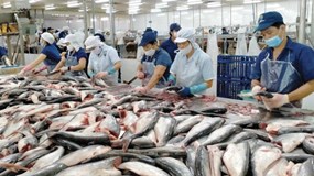 Tồn kho phình to bào mòn lợi nhuận doanh nghiệp thủy sản