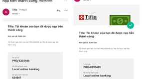 Cần làm rõ những dấu hiệu ‘lừa đảo’ của sàn Forex Tifia