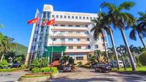 Hơn 13 triệu cổ phiếu PTB sắp được chào bán bằng 1/4 thị giá