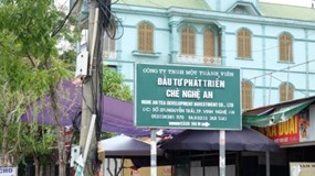 Tổng công ty Chè Nghệ An có nguy cơ chậm công bố báo cáo tài chính