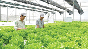 Thực phẩm Hồng Hà chi hàng chục tỷ đồng thâu tóm 2 công ty