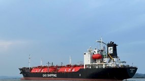 Gas Shipping (HOSE: GSP) xin vay ngân hàng mua tàu thứ 10 giữa lúc lợi nhuận lao dốc, quý III giảm gần 90%