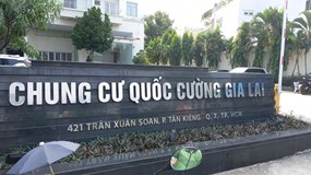 Đứt chuỗi tăng trần: Cổ phiếu QCG bị bán tháo, nằm sàn la liệt