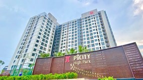 Giám đốc Công ty Pi Home có nguy cơ bị tạm hoãn xuất cảnh