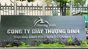 Thoái vốn thành công khỏi Giầy Thượng Đình (UPCoM: GTD), Hà Nội thu về hơn 1.379 tỷ đồng giữa lúc doanh nghiệp lỗ gần 13 tỷ và bị nghi ngờ khả năng hoạt động liên tục