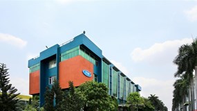 Gỗ Trường Thành (TTF): Liên tục thay kế toán trưởng giữa lúc lỗ lũy kế vượt 3.262 tỷ đồng, chiếm gần 80% vốn điều lệ