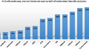 Tỷ lệ vốn ngắn hạn, cho vay trung dài hạn tại các ngân hàng hiện ra sao?