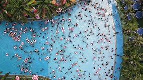 Công viên nước Đầm Sen (DSN): Chi 29 tỷ đồng cổ tức tiền mặt, lợi nhuận giảm 26% giữa áp lực cạnh tranh và pháp lý bế tắc