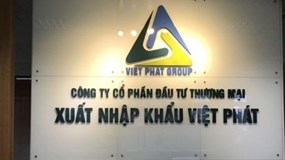 Phạt lãnh đạo Công ty Xuất nhập khẩu Việt Phát và Công ty Xây dựng Bạch Đằng