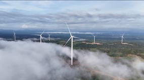 Bầu Hiển chính thức đưa dòng điện sạch xuyên biên giới từ Lào về Việt Nam