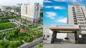 Thông tin đáng chú ý về tài sản, lợi tức của Tổ hợp Y tế Phương Đông của Shark Việt