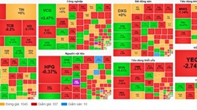 Chứng khoán ảm đạm, VN-Index giảm 3,12 điểm