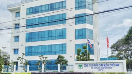 Công ty C.P. Việt Nam cùng 2 ông lớn ngành chăn nuôi sắp bị thanh tra