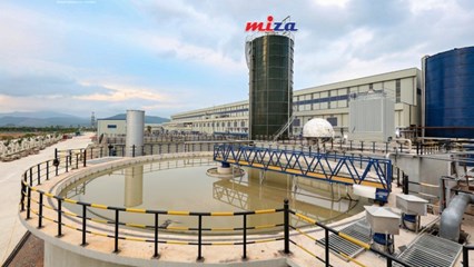 Đầu tư lớn vào Nghi Sơn – Thanh Hoá, Miza đang làm ăn ra sao?