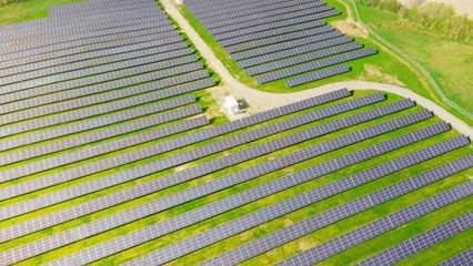 HID lại 'dậy sóng' tăng trần 5 phiên, Halcom nói gì?