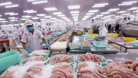 Gần 700 doanh nghiệp Việt được phép xuất khẩu thủy sản vào Đài Loan