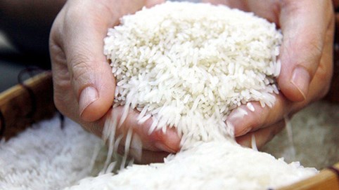 Gạo Việt Nam bán tại Anh hầu hết đều mang thương hiệu của nhà phân phối