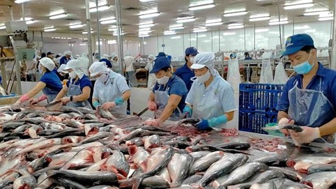 Chủ tịch Nam Việt (ANV) muốn thoái sạch vốn cá nhân: Cổ phiếu tăng 36%, lợi nhuận gấp 18 lần nhưng lãnh đạo vẫn tranh thủ ‘chốt lời’?