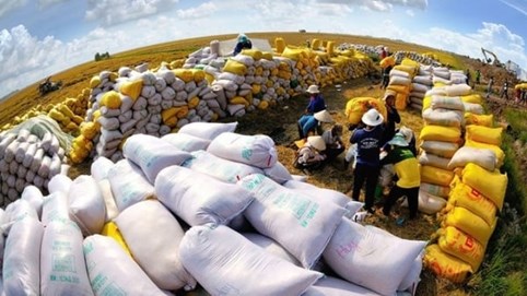 Xuất khẩu gạo năm 2023 cao kỷ lục, đạt gần 8,3 triệu tấn