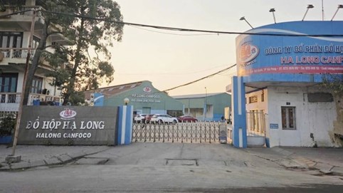 Nhà máy Đồ hộp Hạ Long dừng sản xuất sau khi CEO bị bắt