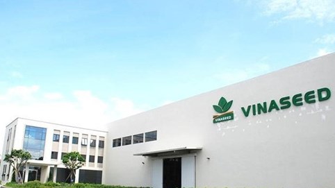 Vinaseed (NSC): Chi hơn 35 tỷ đồng trả cổ tức tiền mặt giữa lúc biên lợi nhuận rơi đáy, tồn kho và nợ vay cùng tăng vọt