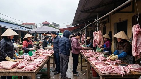 Giá heo hơi hôm nay 19/1: Miền Bắc "hạ nhiệt" sau đỉnh, miền Nam rục rịch tăng tốc