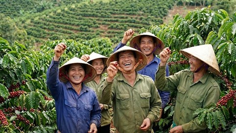 Giá cà phê hôm nay 21/1: Bật tăng 600đ, áp sát mốc lịch sử 100k