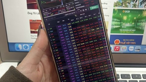 Thị trường rung lắc mạnh, VN-Index giảm gần 12 điểm