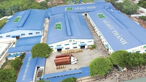 Gỗ Đức Thành bị phạt, truy thu hơn 408 triệu đồng tiền thuế