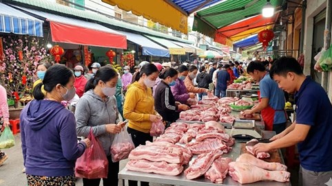 Giá heo hơi hôm nay 27/1: Miền Bắc tiếp tục giữ mặt bằng cao