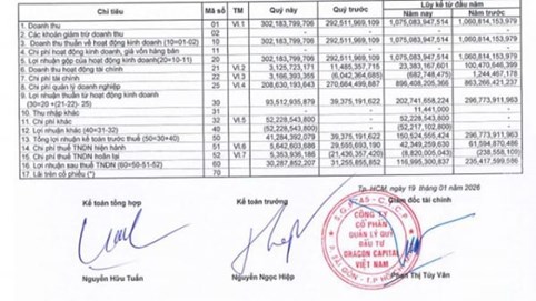 Lợi nhuận Dragon Capital giảm 50%, cổ phiếu tăng “bốc đầu” hơn 181% chỉ sau 6 phiên