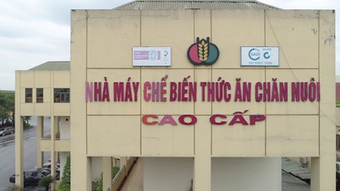 Dabaco niềm vui chưa trọn: Lãi tăng 31 lần, giấc mơ tỷ USD xa tầm với