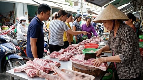 Giá heo hơi hôm nay 3/2/2026: Nguồn cung căng, giá chưa hạ