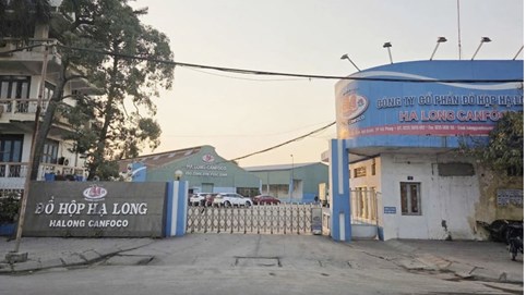 Đồ hộp Hạ Long thua lỗ quý IV/2025, tồn kho phình to giữa lùm xùm thịt lợn nhiễm bệnh