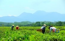 Chính thức ‘khai tử’ siêu dự án du lịch nghỉ dưỡng Tây Bà Nà của Toàn cầu TMS