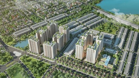 Bình Định: Duyệt phương án đấu giá đất xây dự án nhà ở hơn 3.000 tỷ đồng