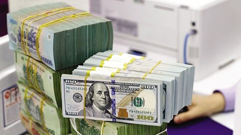 Công ty Cổ phần VSC Green Logistics (GIC) lợi nhuận 2025 giảm 10%, chốt quyền phát hành hơn 12 triệu cổ phiếu giá 10.000 đồng/cp