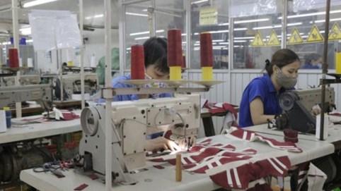 Giày Thượng Đình chuẩn bị “thay máu” HĐQT sau loạt biến động cổ đông